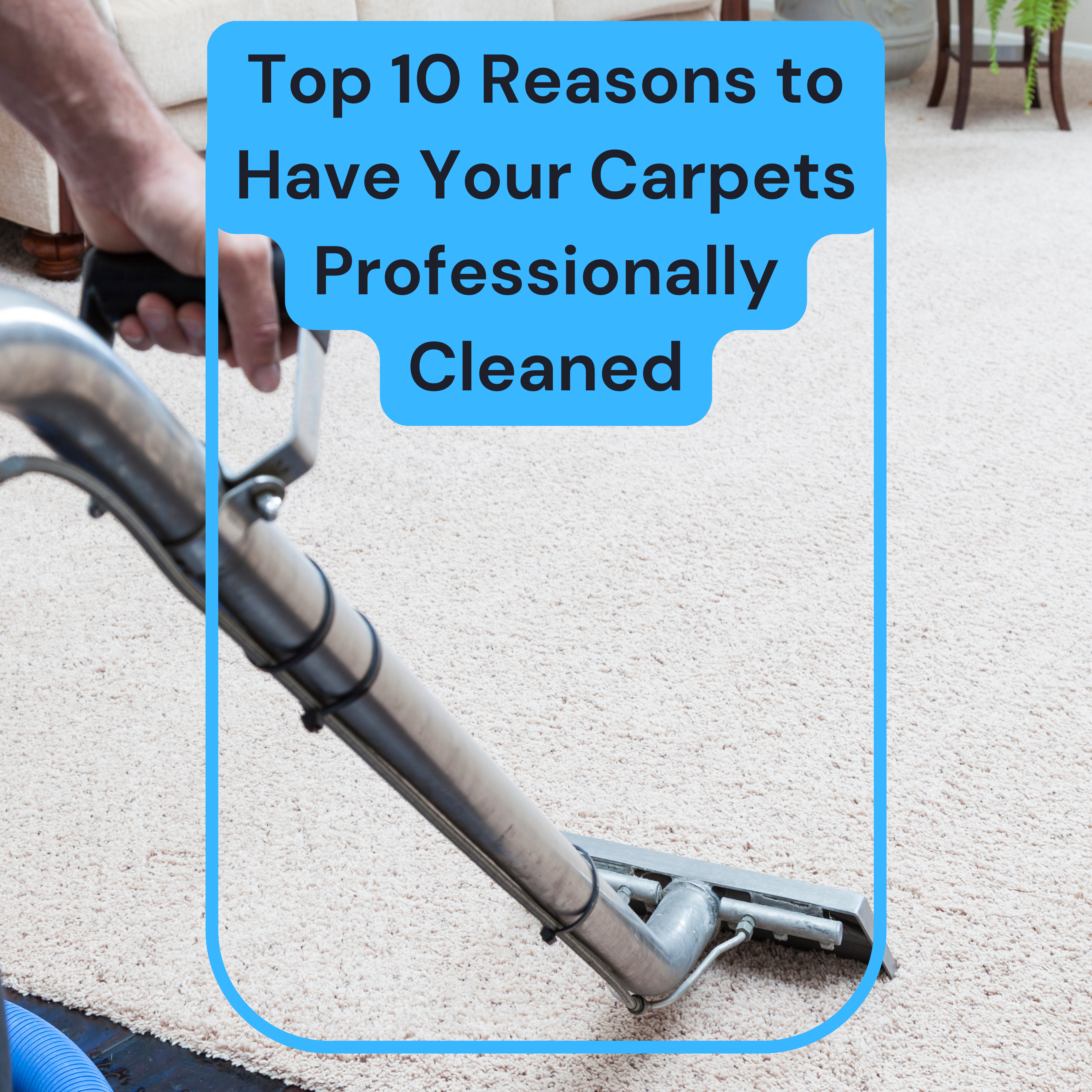 Top 10 Reasons to Have Your Carpets Professionally Cleaned by the WeDeepClean Team
